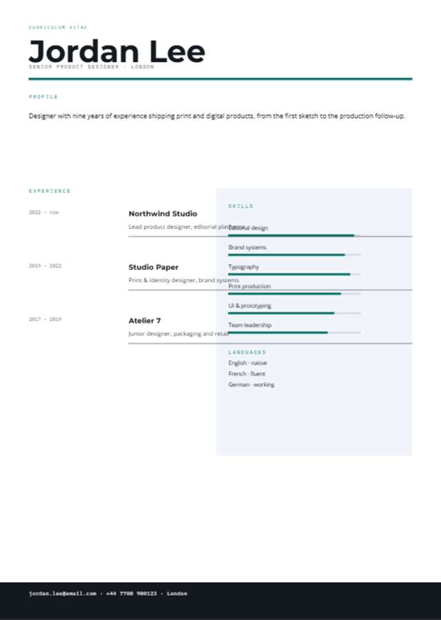 Professional CV — 210×297mm · 1 p.