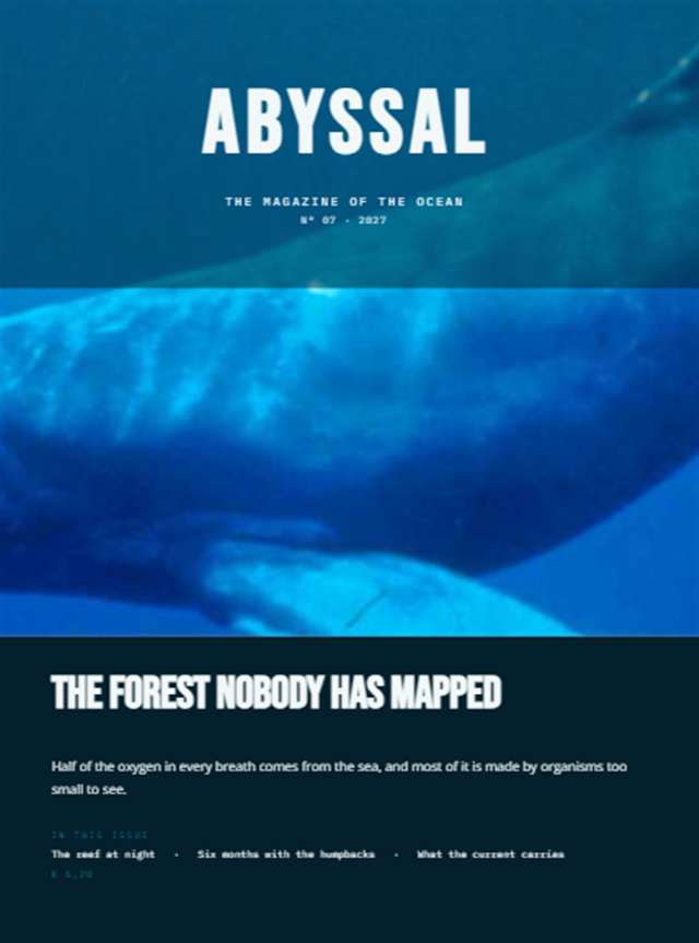 Marine Life Magazine — 148×198mm · 8 p.